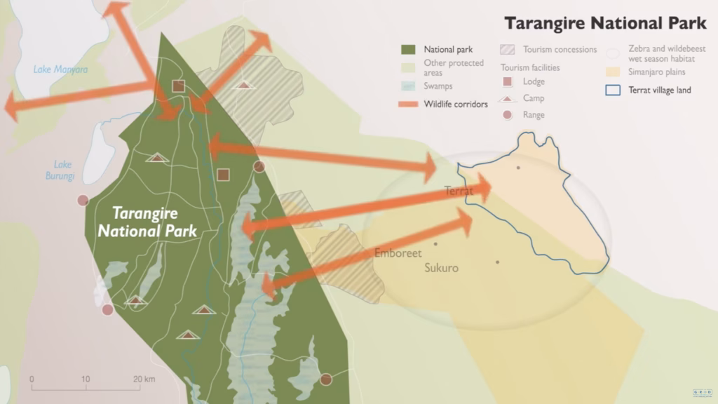 Case study: Conserving Tanzania’s Wildlife